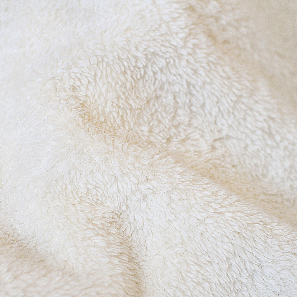 Koi 1 - Blanket